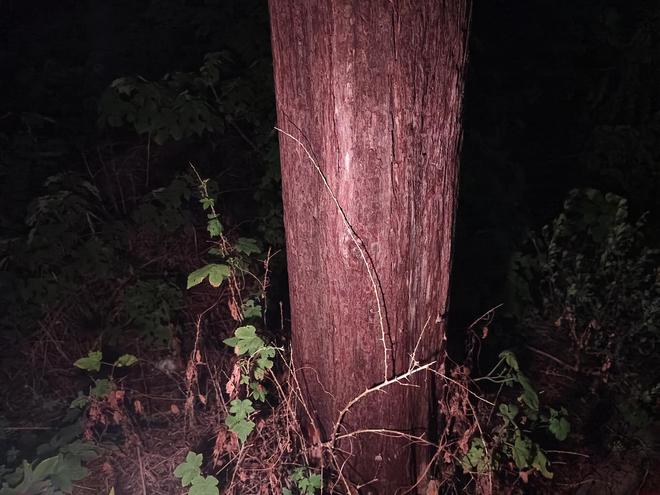 ix小魔方头灯体验让你爱不释手！冰球突破豪华版超轻超能！Fen