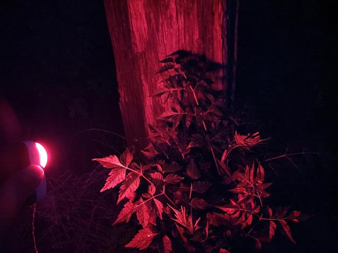 ix小魔方头灯体验让你爱不释手！冰球突破豪华版超轻超能！Fen(图18)